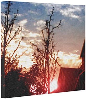 Tinaxion Abstract Art Canvas Sunrises Trees Canvass Prints Canvas Pics