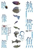 熱帯魚映像図鑑 バーチャル・アクアリウム