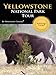 Yellowstone National Park Tour