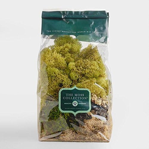Moss Vase Filler