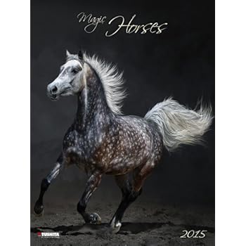 Magic Horses 2015. Decor Calendar: Magie der Pferde Magic Horses 2015. Decor Calendar: Magie der Pferde