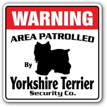 yorkie guard dog
