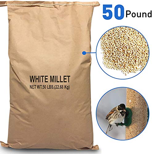 EasyGoProducts White Millet Wild Bird Food – 50 lb, Brown - Thumbnail 4