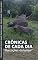 Livro Crônicas de cada dia : Marcações do tempo