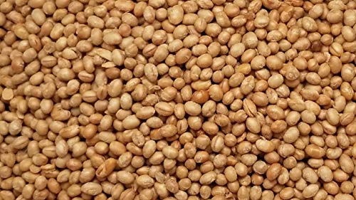 Soybeans/Nuts, Roasted & Salted By Presto Sales LLC - Thumbnail 3