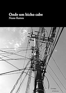 Livro Onde um bicho cabe (Formas Breves)