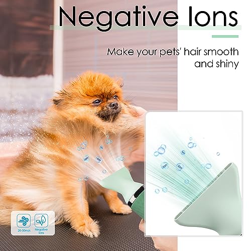 ThinkPet Dog Hair Dryer for Pet Grooming High Velocity Force Blower - Lightweight Portable Dog Dryer for Small Medium Large Dogs Grooming Hair Dryer - 4 Levels Temperature 3 Blow Speed 4 Nozzle Green