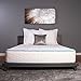 DREAMFOAM Arctic Dreams 10