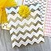 Outside the Box Papers Gold and Mint Green Treat Sacks - Chevron Polka Dot Favor Bags - 5.5 x 7.5 Inches - 48 Pack