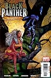 Black Panther #16 (Black Panther: Countdown To The Wedding Of The Century) by 