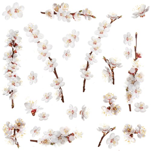 Roommates RMK2085SCS Dogwood Branch Peel and Stick Wall Decals-[26 count]