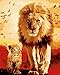 Komking DIY Oil Painting Paint by Numbers for Adults, Paint by Number Kits on Canvas, Lion and Baby 16x20inch