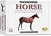 Eyewitness Kits Horse Casting Kit