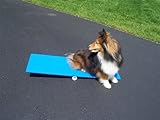 Agility Gear Tippy Board - Puppy Teeter