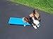 Agility Gear Tippy Board - Puppy Teeter