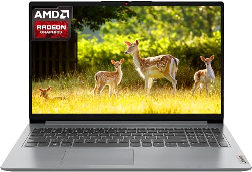 Lenovo IdeaPad 1 Laptop