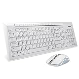Rapoo 2.4G Multimedia Wireless Keyboard and Mouse 2-in-1 Combo for PC(White)