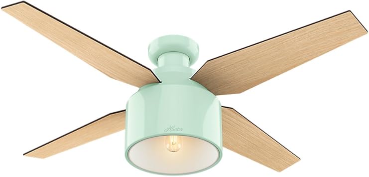 Hunter Indoor Low Profile Ceiling Fan With Light And Remote