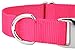 Premium Nylon Dog Collar with Metal Buckle for Small Medium Large Breeds (Large, 1 Inch, Hot Pink)