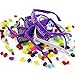 Bridal Bachelorette Party Favors Brides Maid Wedding Purple Sun Glasses - 6 Pce Kit