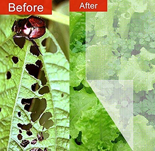 1 Agfabric+Standard+Netting+Against+Squirrels