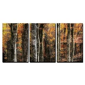 3 Piece Canvas Wall Art - Beech Trees in Autumn - Modern Home Art Stretched and Framed Ready to Hang - 16"x24"x3 Panels