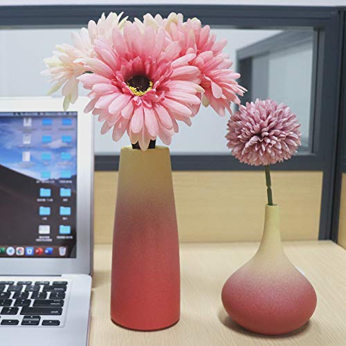 Small Ceramic Vase Set of 2 Flower Vases for Home Décor Living Room,Bookshelf Dcor（Red）