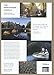 Amsterdam Canals: Through the Eyes of Cris Toala Olivares (Dutch and English Edition)