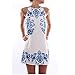 Women Sleeveless Dresses, Misaky Reto Porcelain Print Party Short Dress