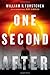 One Second After (A John Matherson Novel, 1)