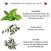 Full Body Oil Moisturizing Oil For Normal to Dry Skin Face Hair Cuticle Scalp Nails. Essential Oils, Coconut, Argan, Jojoba, Sweet Almond Oils, Organic Rose Hip Seed, Quick Dry Oil for Women & Men 4oz