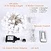 Color Changing Globe String Lights, 33Feet 100 LEDs USB Ball Fairy Lights Plug in with Timer Remote, Christmas Lights for Camping Dorm Party Wedding Indoor Outdoor Decoration (16Color + Multicolor)