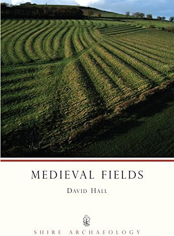 Medieval Fields: No. 28 (Shire Archaeology)