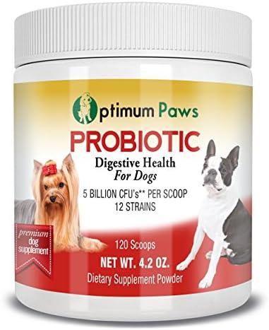 Probiotic Top Supplement Powder by Optimum Paws: Ultimate Support For Dog’s Health | 5 Billion CFU’s Per Scoop - 12 Strains | Diarrhea, Gas, Bad Breath, Allergy Relief | Natural Immune Booster