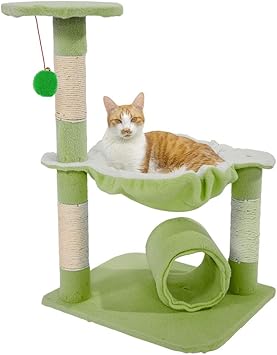 cat climbing toys