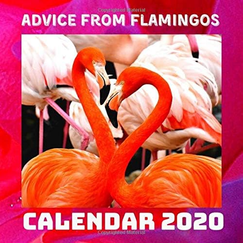 Advice From Flamingos Calendar 2020: November 2019 - December 2020 With Flamingo Inspirational Quotes Paperback – Wall Calendar, November 3, 2019