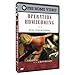 Operation Homecoming: Writing the Wartime Experience