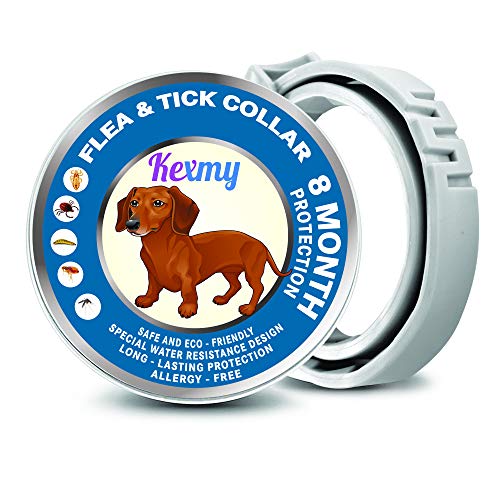 KEXMY Flea and Tick Collar for Dogs - Flea and Tick Prevention for Small, Medium or Large Dog - Waterproof Collar Flea Tick - 8 Month Protection Dog Flea and Tick Control - Thumbnail 6
