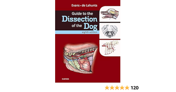 Guide To The Dissection Of The Dog 9780323391658 Medicine Health Science Books Amazon Com