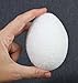 Package of Large Styrofoam Goose Eggs for Crafts, Easter Decor, and Decorating- Package of 6