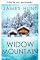 Livro Widow Mountain: Um thriller EMP pós-apocalíptico de cidade pequena (Sobrevivência ao EMP em um mundo sem energia Livro 71)