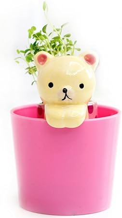 Ez Life Diy Grow Your Own Grass Table Plants - Yellow Cat With Cup