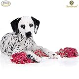 2 Twisted Triple Knotted Rope Bone for Dogs (20”) by SunGrow - Heavy Duty Cotton
