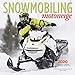 Snowmobiling 2020 12 x 12 Inch Monthly Square Wall Calendar with Foil Stamped Cover by Wyman Publish by 