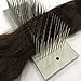 Hackle