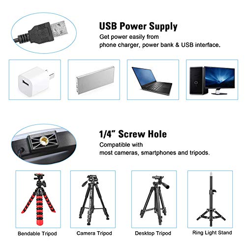 Lumière Anneau avec Trépied, BONFOTO 25,6cm Selfie Anneau Lumineux avec 10 réglable RGB couleurs Télécommande et support de téléphone, pour Maquillage/Live-Stream/Photographie/Youtube TikTok Vidéo