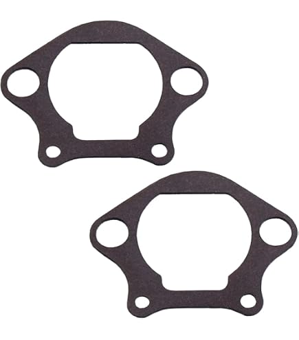 Amazon.com: Kawasaki 2 Pack Genuine 11060-2190 Float Bowl Gasket