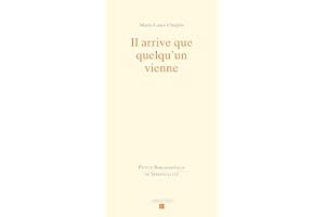 Il arrive que quelqu'un vienne: Variations sur l'accompagnement spirituel (French Edition)
