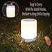 Night Light Bluetooth Speaker,Seagold Portable Wireless Music Speakers Touch Control Beside Table Lamp Dimmable 3 White Light Levels RGB Color Changing with Metal Handle TF Card/AUX-IN Supported