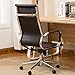 BELLEZE Minimalist Ribbed Executive Office Chair with Arms, High Back Soft Faux Leather Conference Task, Adjustable Height & Swivel Wheels - Aria (Black)